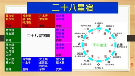 臨官帝旺|詳解八字十二長生——臨官